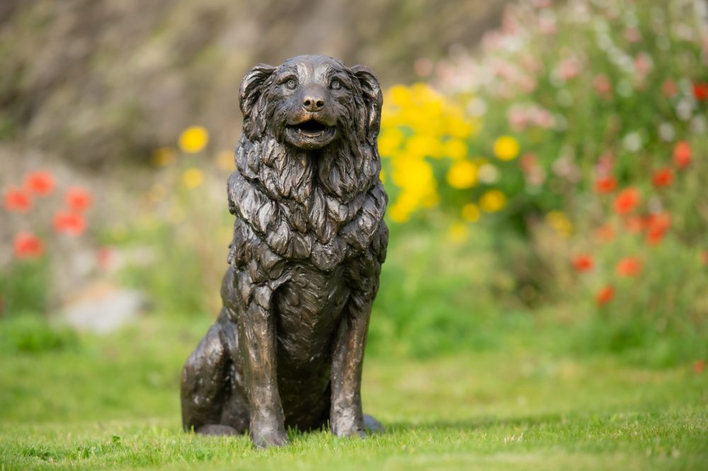 2 'Sitting Border Collie', Dog Sculpture, Bronze Dog, Bronze Resin, Tanya Russell Animal Sculptures-2