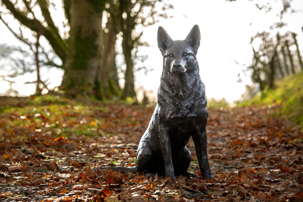 2 'Sitting Mixed Breed', Dog Sculpture, Bronze Dog, Foundry Bronze Metal, Tanya Russell Animal Sculptures-1