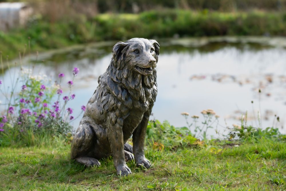 3 'Sitting Border Collie', Dog Sculpture, Bronze Dog, Bronze Resin, Tanya Russell Animal Sculptures-14