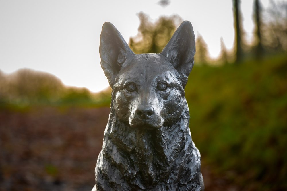3 'Sitting Mixed Breed', Dog Sculpture, Bronze Dog, Foundry Bronze Metal, Tanya Russell Animal Sculptures-9