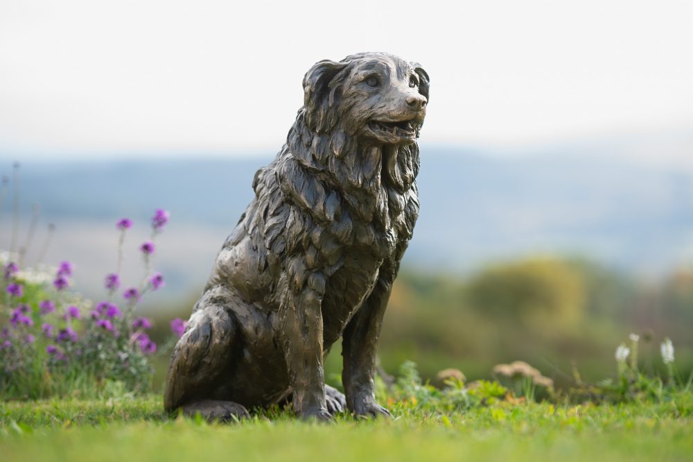 4 'Sitting Border Collie', Dog Sculpture, Bronze Dog, Bronze Resin, Tanya Russell Animal Sculptures-13