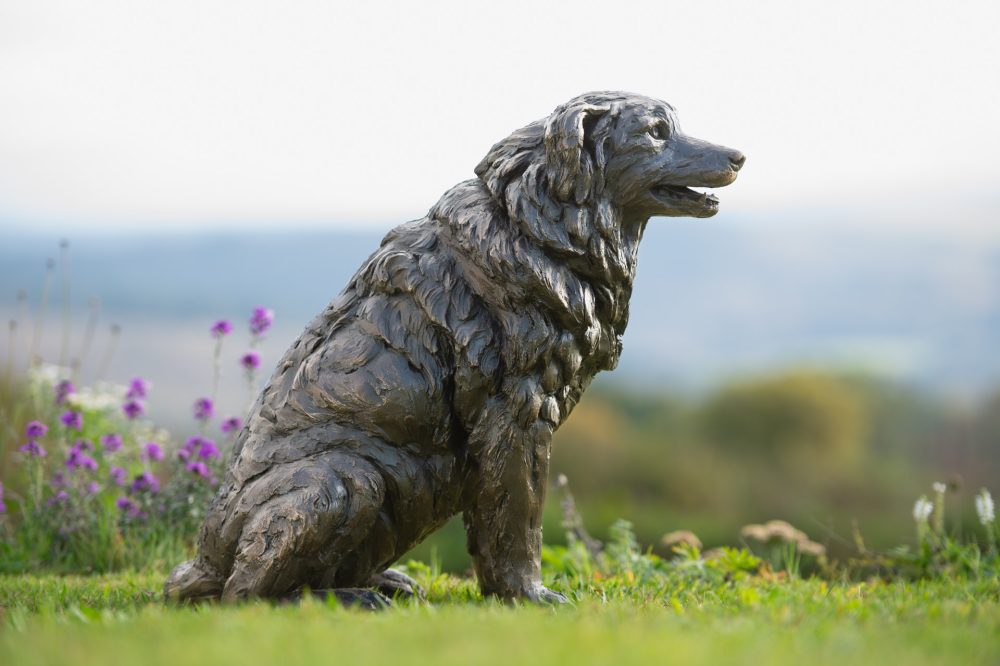 5 'Sitting Border Collie', Dog Sculpture, Bronze Dog, Bronze Resin, Tanya Russell Animal Sculptures-12