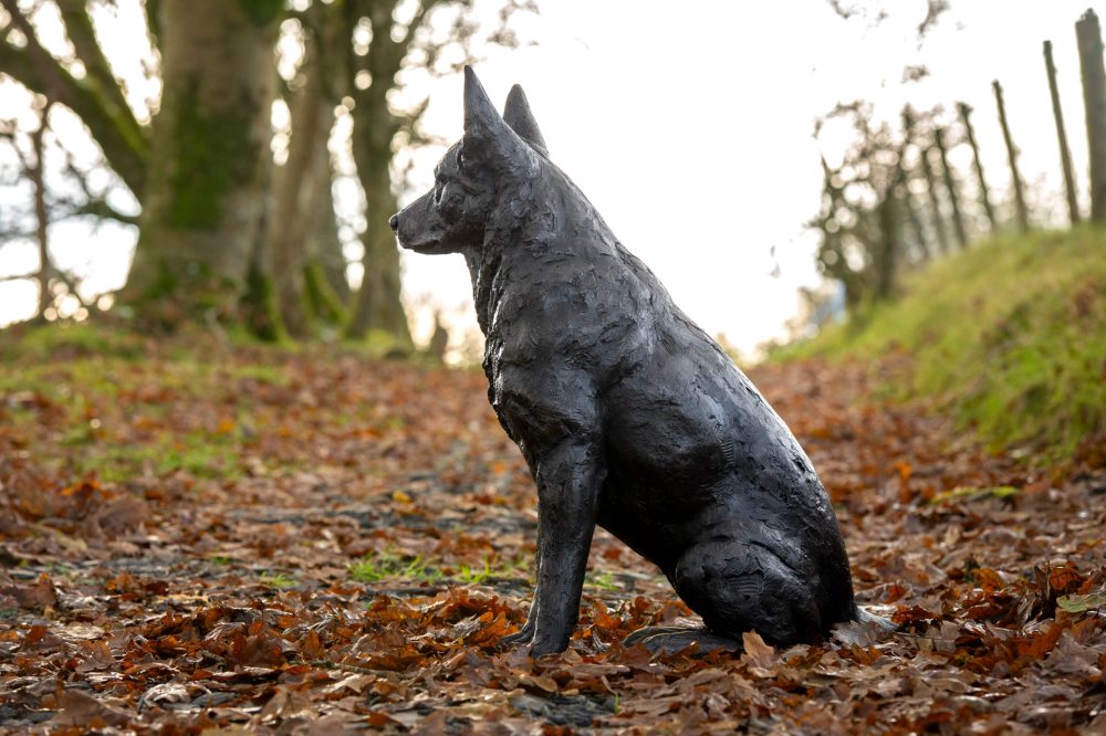 5 'Sitting Mixed Breed', Dog Sculpture, Bronze Dog, Foundry Bronze Metal, Tanya Russell Animal Sculptures-3