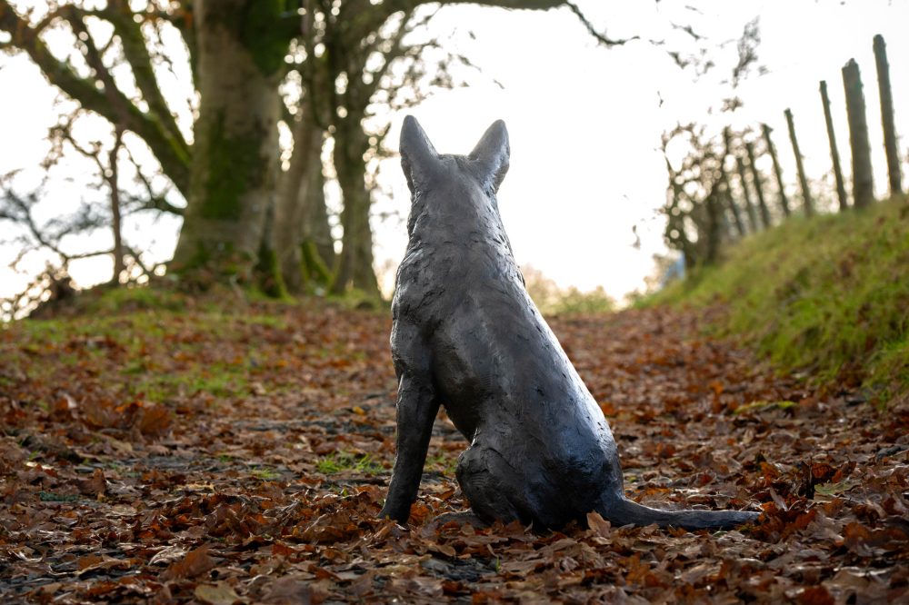 6 'Sitting Mixed Breed', Dog Sculpture, Bronze Dog, Foundry Bronze Metal, Tanya Russell Animal Sculptures-4
