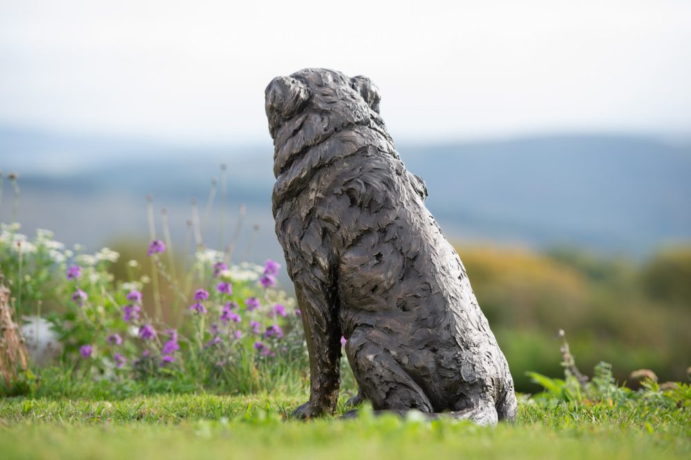 7 'Sitting Border Collie', Dog Sculpture, Bronze Dog, Bronze Resin, Tanya Russell Animal Sculptures-9