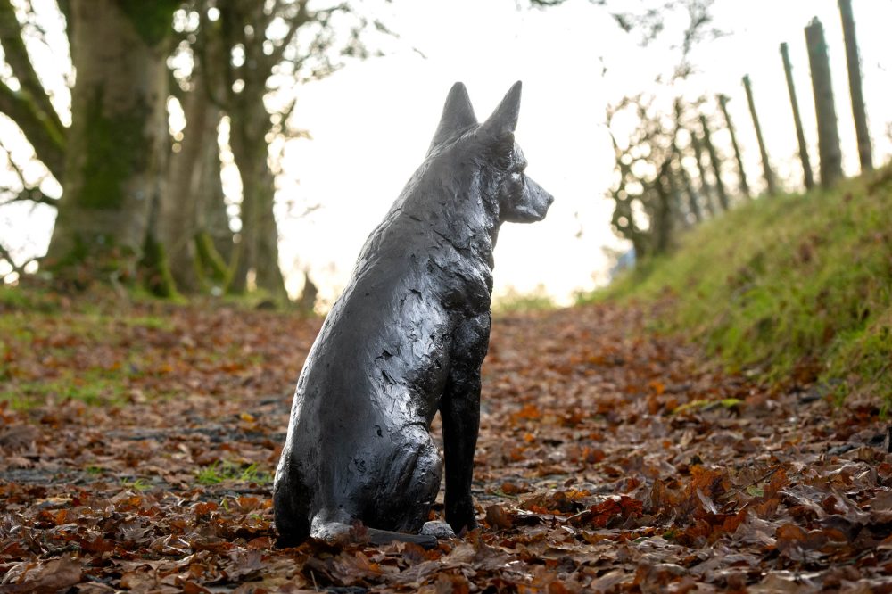 7 'Sitting Mixed Breed', Dog Sculpture, Bronze Dog, Foundry Bronze Metal, Tanya Russell Animal Sculptures-5