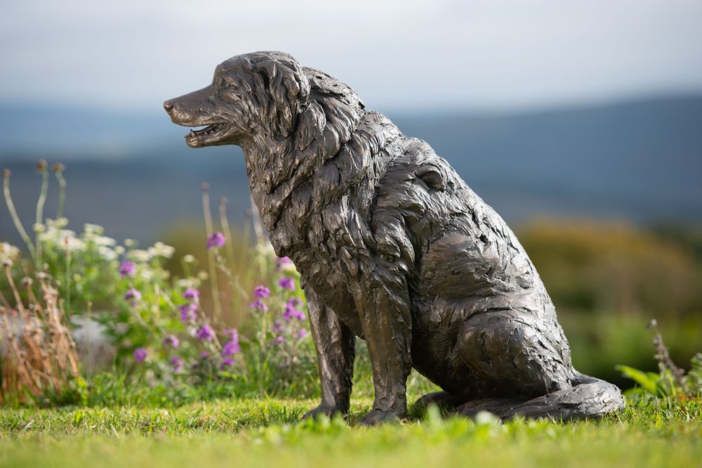 8 'Sitting Border Collie', Dog Sculpture, Bronze Dog, Bronze Resin, Tanya Russell Animal Sculptures-8