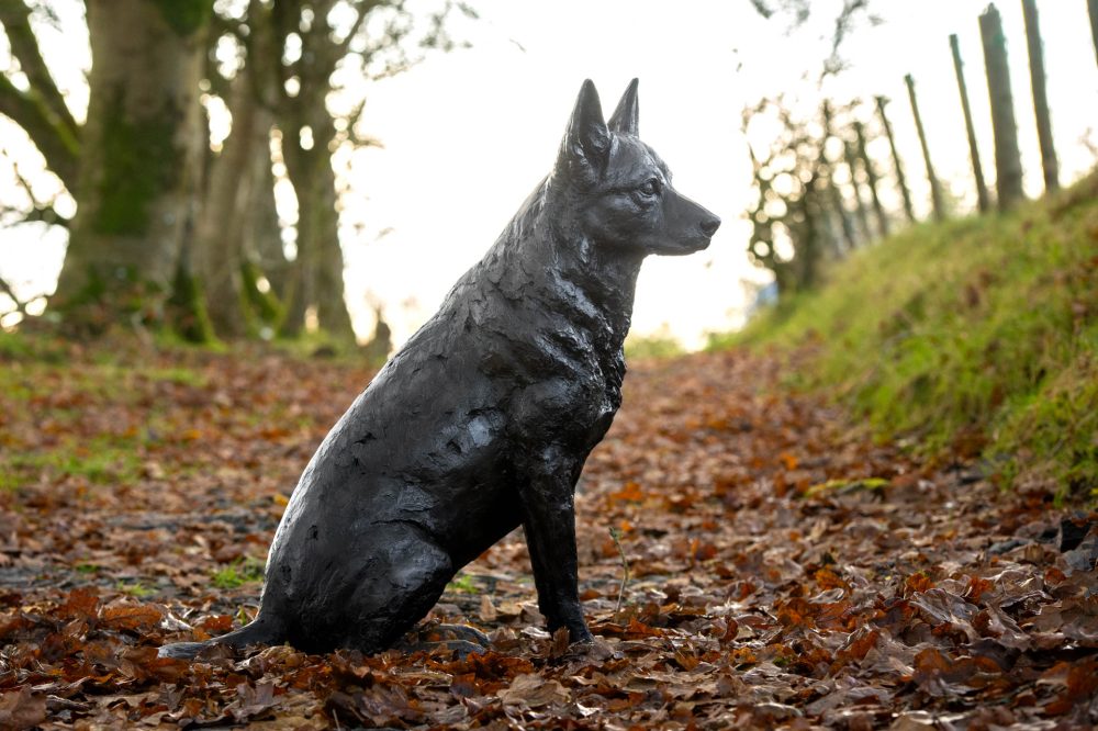 8 'Sitting Mixed Breed', Dog Sculpture, Bronze Dog, Foundry Bronze Metal, Tanya Russell Animal Sculptures-6