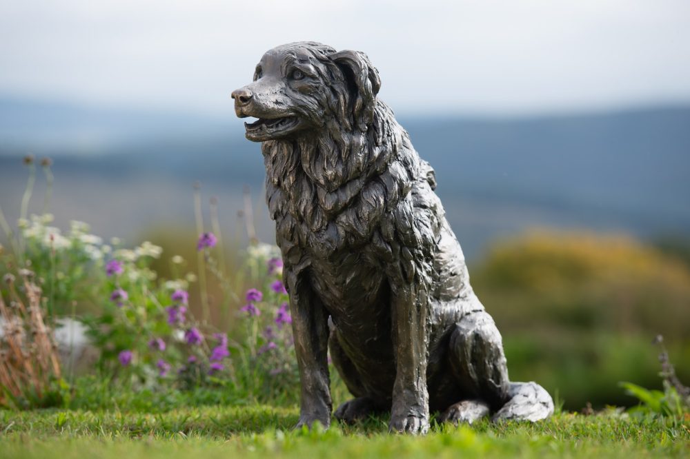 9 'Sitting Border Collie', Dog Sculpture, Bronze Dog, Bronze Resin, Tanya Russell Animal Sculptures-7