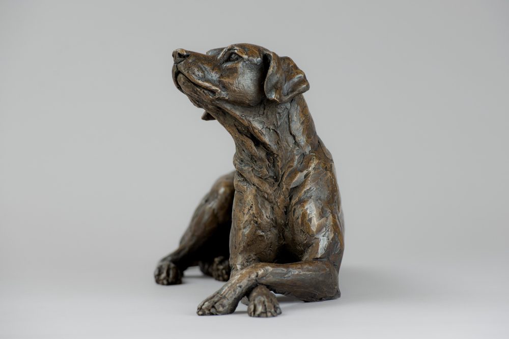 3 'Lying Redbone Hound', Bronze Dog, Dog Sculpture, Dog Statue, Bronze Resin, Tanya Russell Animal Sculptures-3