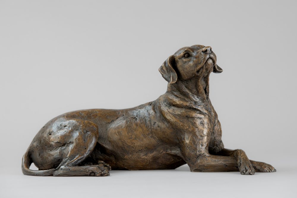 'Lying Redbone Hound', Bronze Dog, Dog Sculpture, Dog Statue, Bronze Resin, Tanya Russell Animal Sculptures-1