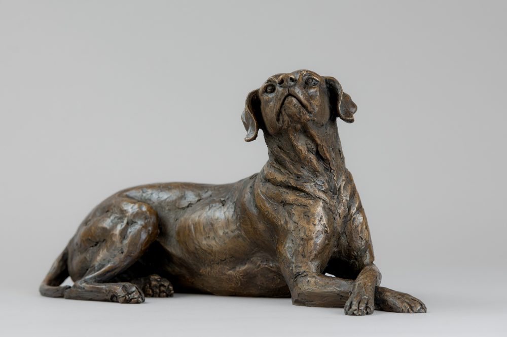 'Lying Redbone Hound', Bronze Dog, Dog Sculpture, Dog Statue, Bronze Resin, Tanya Russell Animal Sculptures-2