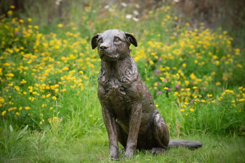 1 'Sitting Crossbreed (Jo Jo)', Dog Sculpture, Bronze Dog, Bronze Resin, Tanya Russell Animal Sculptures-10