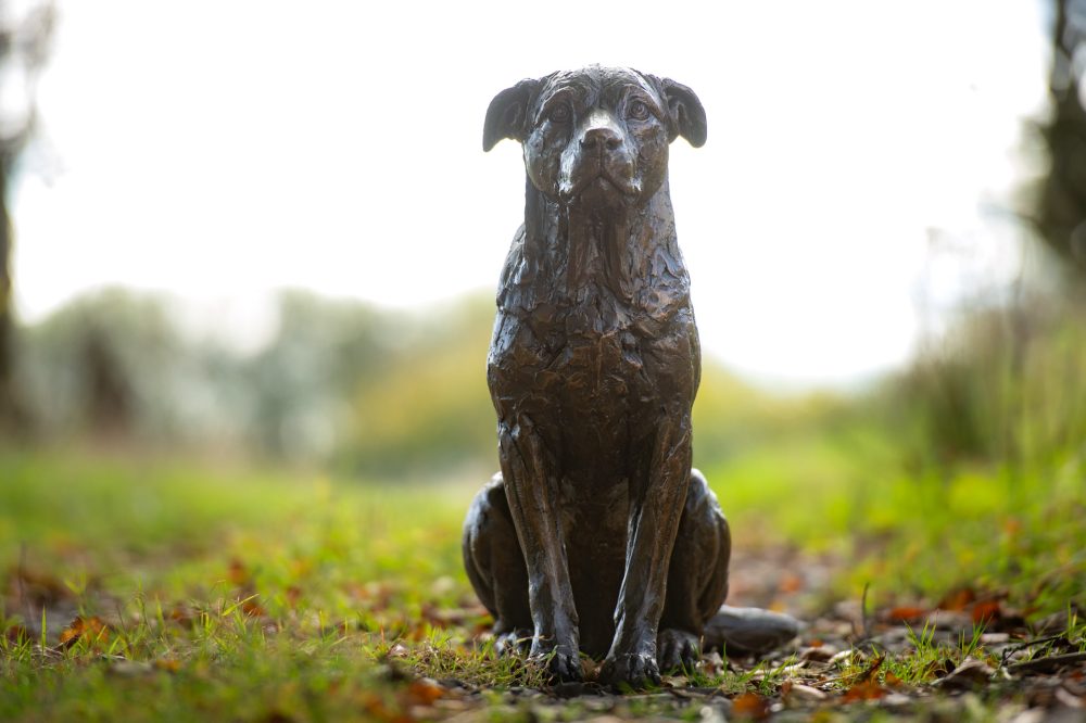 3 'Sitting Rescue Dog' Jo Jo, Bronze Dog, Dog Sculpture, Dog Statue, Bronze Resin, Tanya Russell Animal Sculptures-1