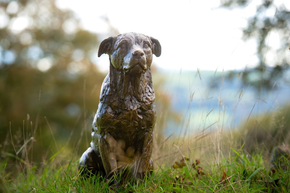 4 'Sitting Rescue Dog' Jo Jo, Bronze Dog, Dog Sculpture, Dog Statue, Bronze Resin, Tanya Russell Animal Sculptures-11