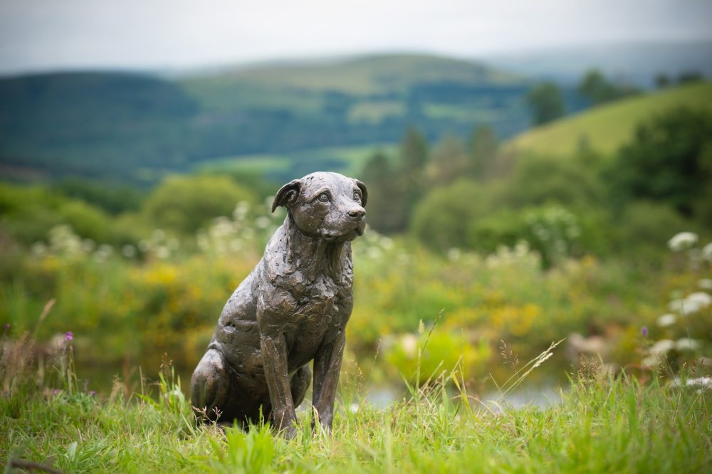 5 'Sitting Crossbreed (Jo Jo)', Dog Sculpture, Bronze Dog, Bronze Resin, Tanya Russell Animal Sculptures-14