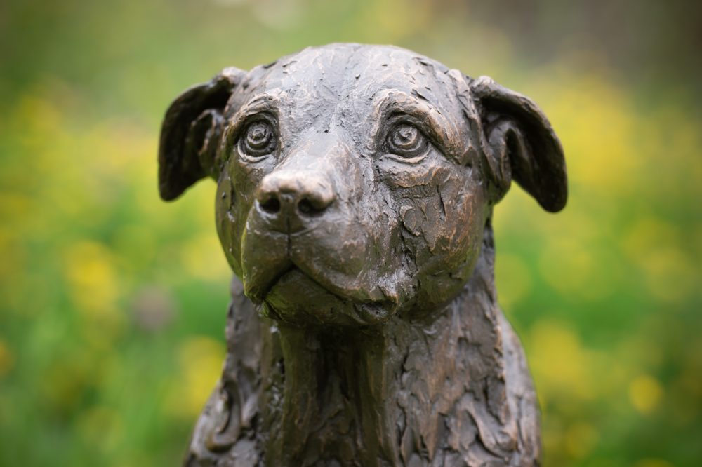 6 'Sitting Crossbreed (Jo Jo)', Dog Sculpture, Bronze Dog, Bronze Resin, Tanya Russell Animal Sculptures-13