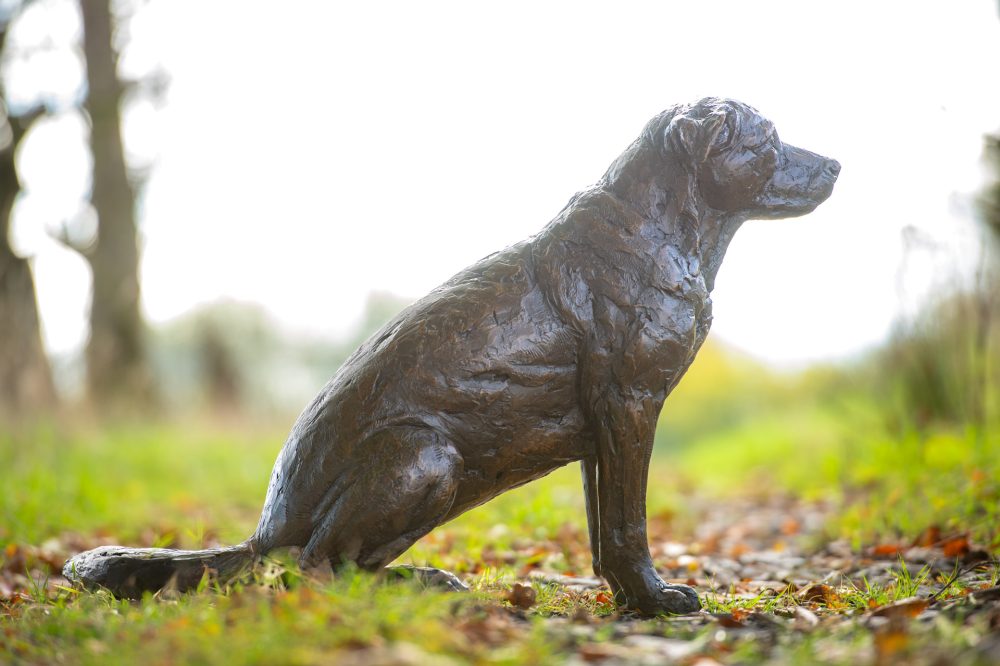 7 'Sitting Rescue Dog' Jo Jo, Bronze Dog, Dog Sculpture, Dog Statue, Bronze Resin, Tanya Russell Animal Sculptures-7