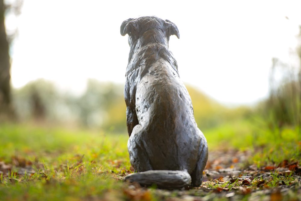 8 'Sitting Rescue Dog' Jo Jo, Bronze Dog, Dog Sculpture, Dog Statue, Bronze Resin, Tanya Russell Animal Sculptures-5