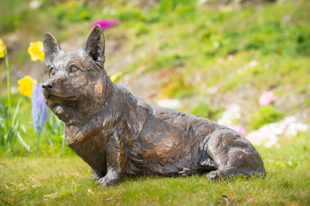 1 'Sitting Corgi', Dog Sculpture, Bronze Dog, Foundry Bronze Metal, Tanya Russell Animal Sculptures (2 of 14)