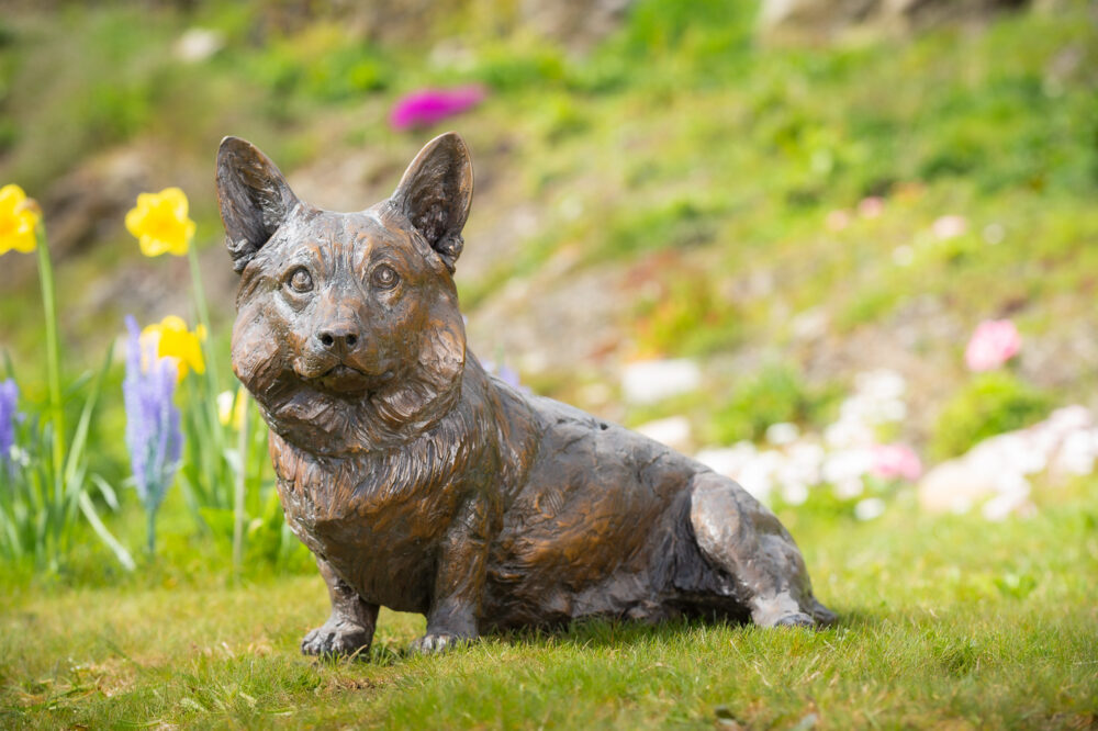 2 'Sitting Corgi', Dog Sculpture, Bronze Dog, Foundry Bronze Metal, Tanya Russell Animal Sculptures (1 of 14)