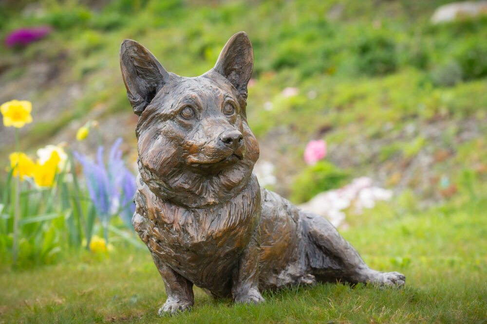 3 'Sitting Corgi', Dog Sculpture, Bronze Dog, Foundry Bronze Metal, Tanya Russell Animal Sculptures (11 of 14)