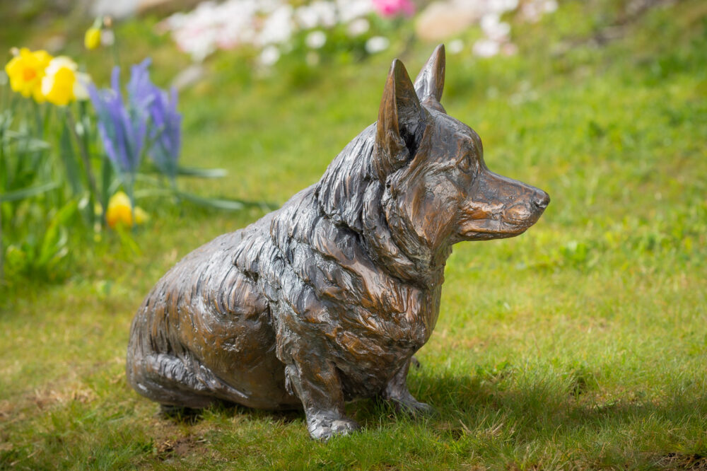 5 'Sitting Corgi', Dog Sculpture, Bronze Dog, Foundry Bronze Metal, Tanya Russell Animal Sculptures (10 of 14)