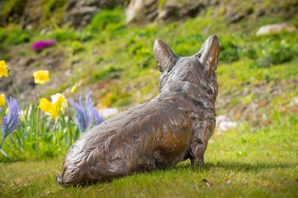 6 'Sitting Corgi', Dog Sculpture, Bronze Dog, Foundry Bronze Metal, Tanya Russell Animal Sculptures (7 of 14)