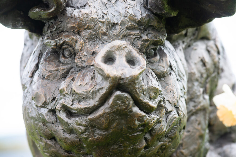 7 Mother Pig and Piglets Bronze Resin, Tanya Russell Animal Sculptures (18 of 20)