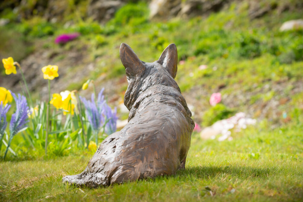 7 'Sitting Corgi', Dog Sculpture, Bronze Dog, Foundry Bronze Metal, Tanya Russell Animal Sculptures (6 of 14)