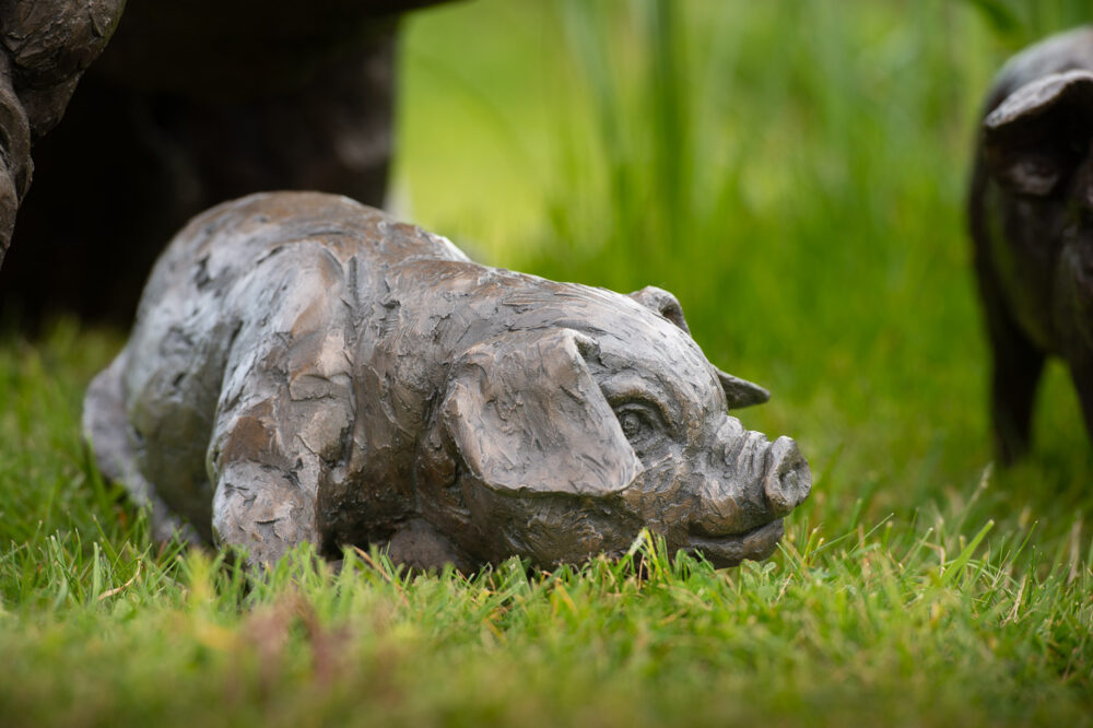 8 Mother Pig and Piglets Bronze Resin, Tanya Russell Animal Sculptures (17 of 20)
