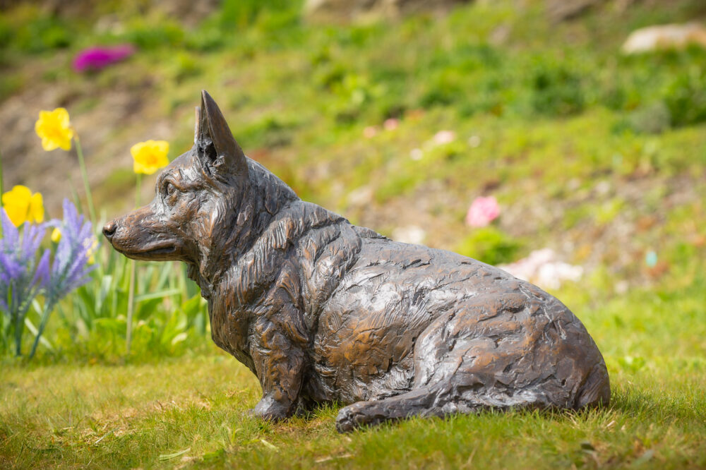 8 'Sitting Corgi', Dog Sculpture, Bronze Dog, Foundry Bronze Metal, Tanya Russell Animal Sculptures (4 of 14)