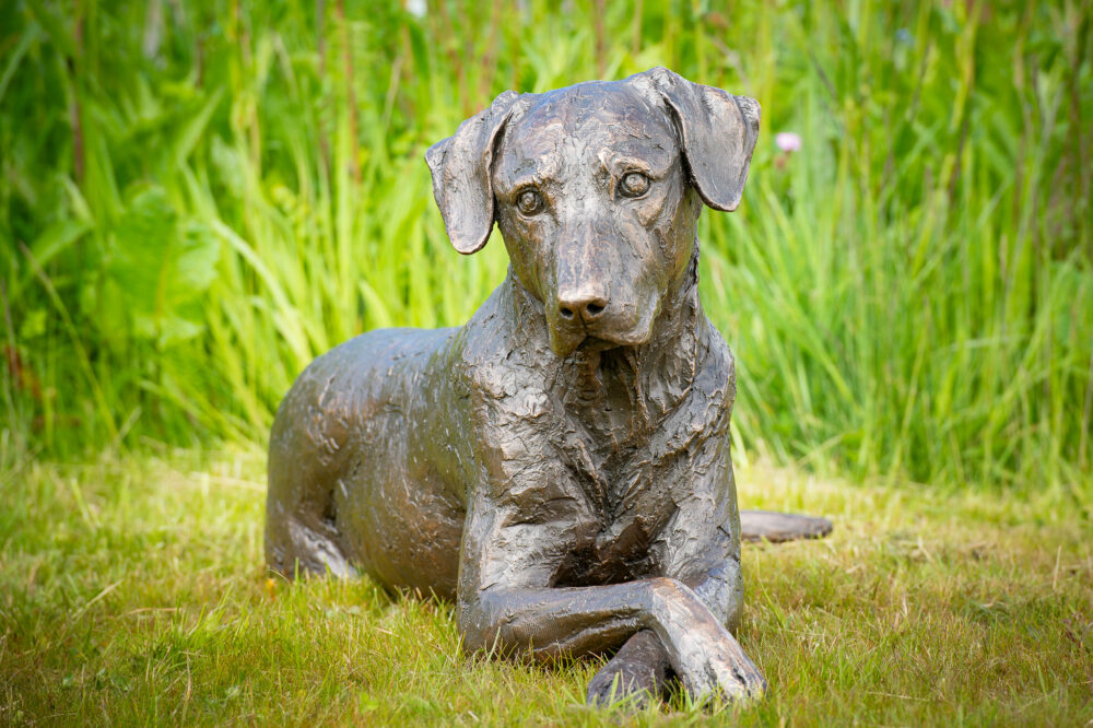 1 'Lying Mixed-breed Dog', Dog Sculpture, Dog Statue, Bronze Resin, Tanya Russell Animal Sculptures (1 of 14)
