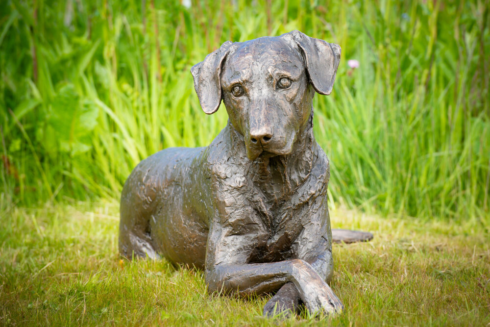 1 'Lying Mixed-breed Dog', Dog Sculpture, Dog Statue, Bronze Resin, Tanya Russell Animal Sculptures (1 of 14)