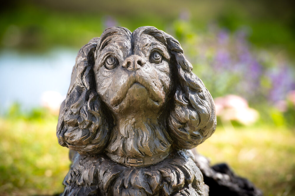 10 'Lying King Charles Cavalier 2', Dog Sculpture, Dog Statue, Bronze Resin, Tanya Russell Animal Sculptures (15 of 20)