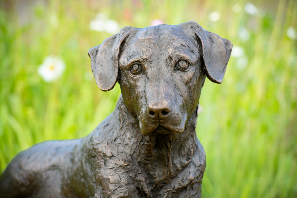 10 'Lying Mixed Breed Dog Sculpture, Dog Statue, Bronze Resin, Tanya Russell Animal Sculptures (4 of 6)