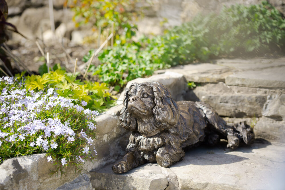 11 'Lying King Charles Cavalier 2', Dog Sculpture, Dog Statue, Bronze Resin, Tanya Russell Animal Sculptures (18 of 20)