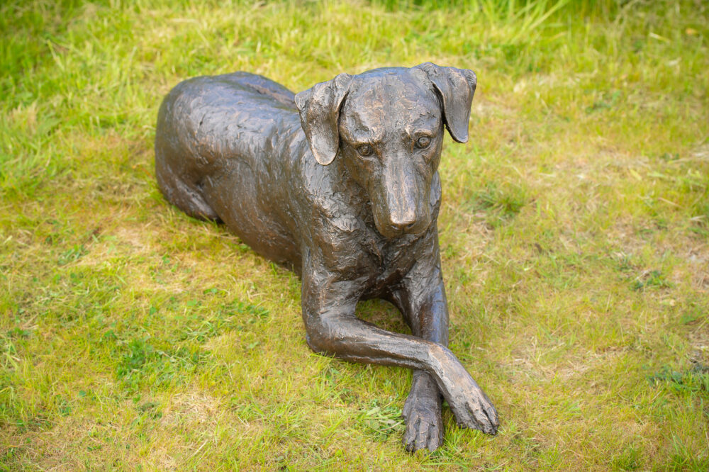 11 'Lying Mixed Breed Dog Sculpture, Dog Statue, Bronze Resin, Tanya Russell Animal Sculptures (6 of 6)
