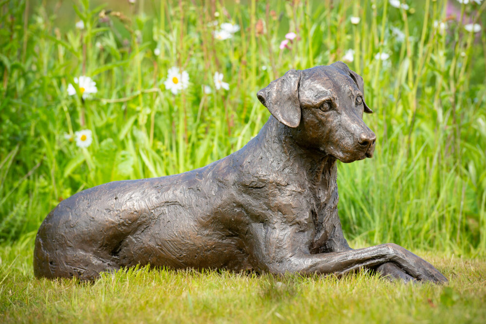 2 'Lying Mixed-breed Dog', Dog Sculpture, Dog Statue, Bronze Resin, Tanya Russell Animal Sculptures (5 of 14)