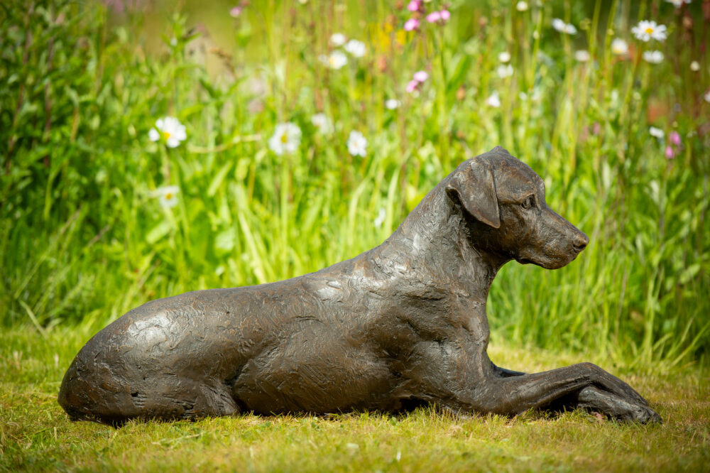 3 'Lying Mixed-breed Dog', Dog Sculpture, Dog Statue, Bronze Resin, Tanya Russell Animal Sculptures (8 of 14)