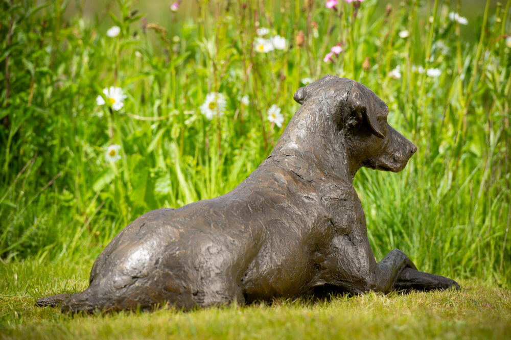 4 'Lying Mixed-breed Dog', Dog Sculpture, Dog Statue, Bronze Resin, Tanya Russell Animal Sculptures (9 of 14)