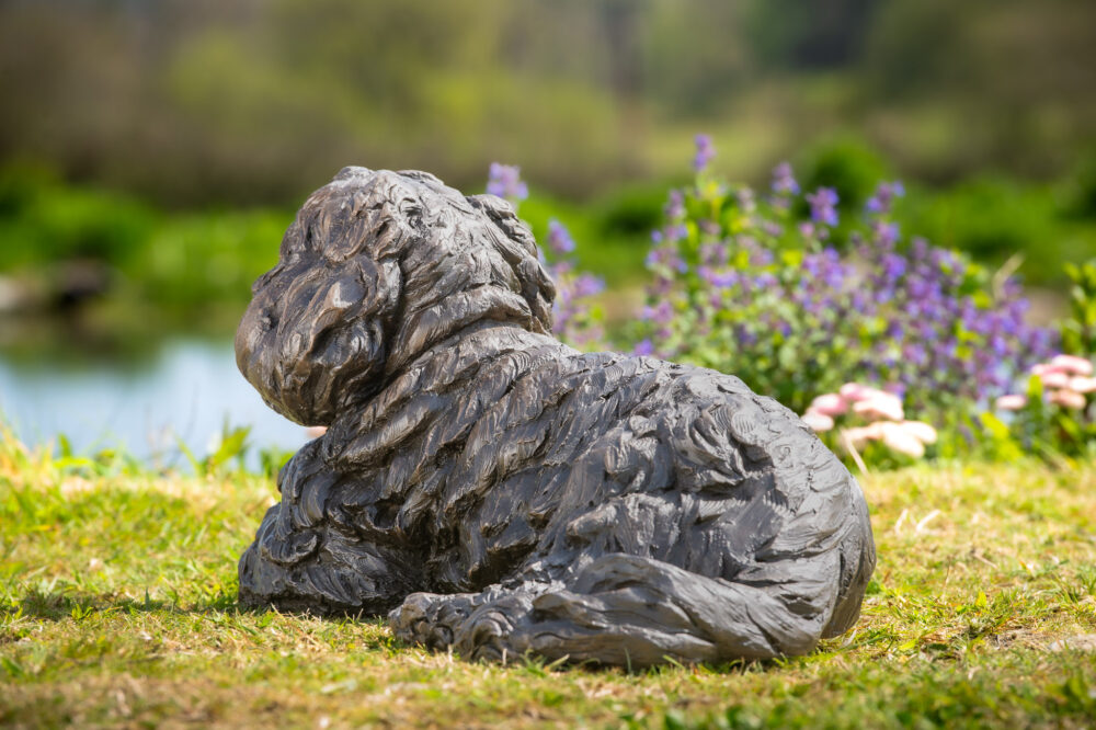 5 'Lying King Charles Cavalier 2', Dog Sculpture, Dog Statue, Bronze Resin, Tanya Russell Animal Sculptures (7 of 20)