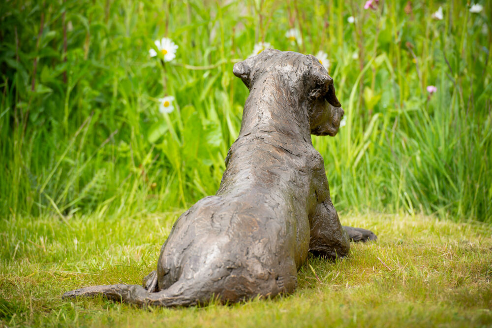 5 'Lying Mixed-breed Dog', Dog Sculpture, Dog Statue, Bronze Resin, Tanya Russell Animal Sculptures (10 of 14)