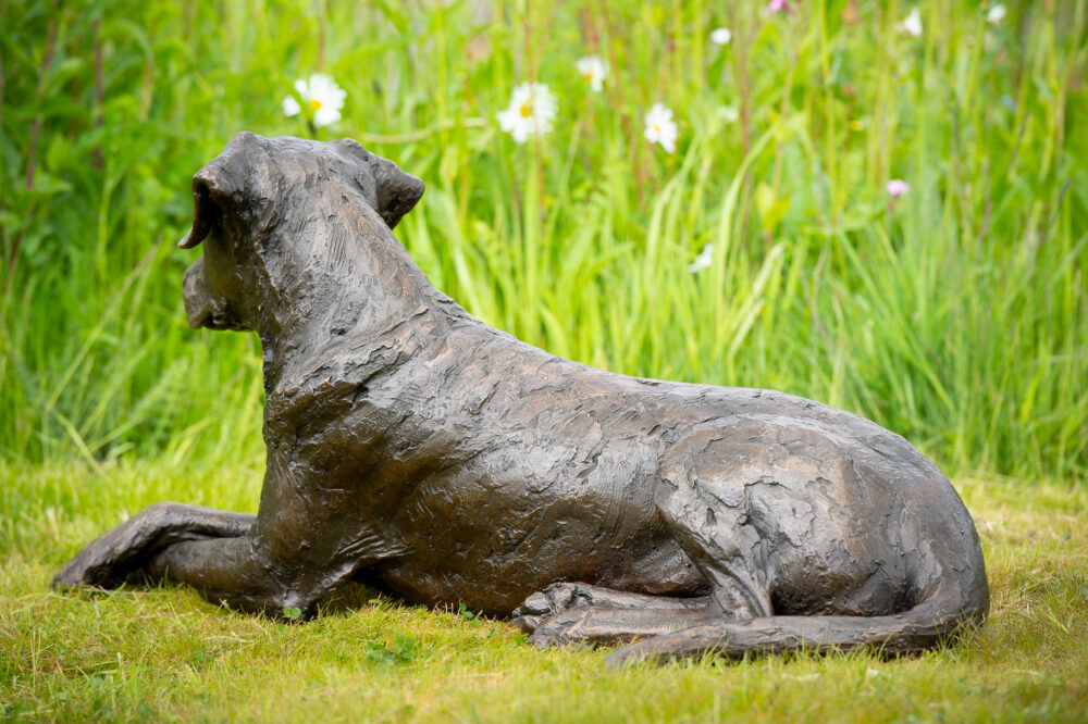6 'Lying Mixed-breed Dog', Dog Sculpture, Dog Statue, Bronze Resin, Tanya Russell Animal Sculptures (12 of 14)