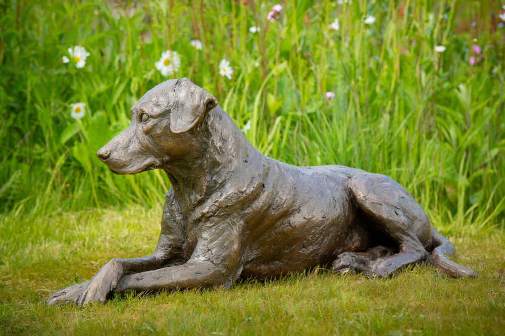 8 'Lying Mixed Breed Dog Sculpture, Dog Statue, Bronze Resin, Tanya Russell Animal Sculptures (1 of 6)