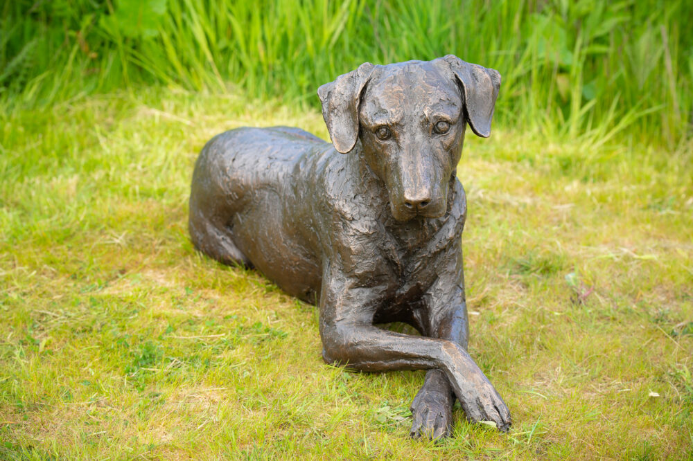 9 'Lying Mixed Breed Dog Sculpture, Dog Statue, Bronze Resin, Tanya Russell Animal Sculptures (5 of 6)
