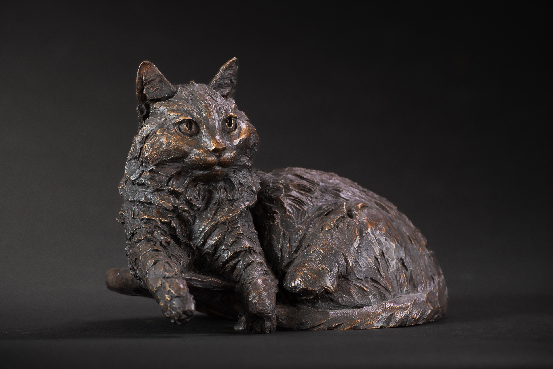 Border Terrier Standing Bronze Sculpture image, dog statue sculpted by Tanya Russell