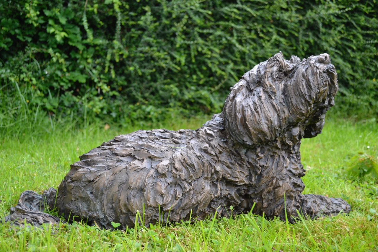 Tibetan Terrier and child