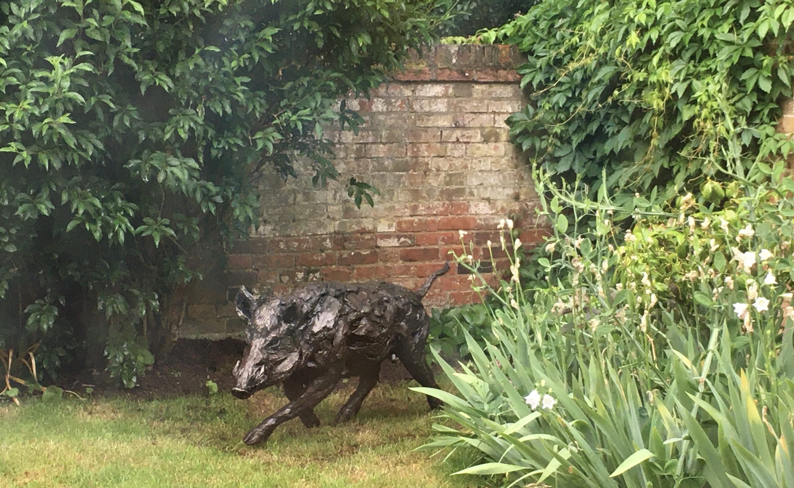 Vizsla sculpture right side view