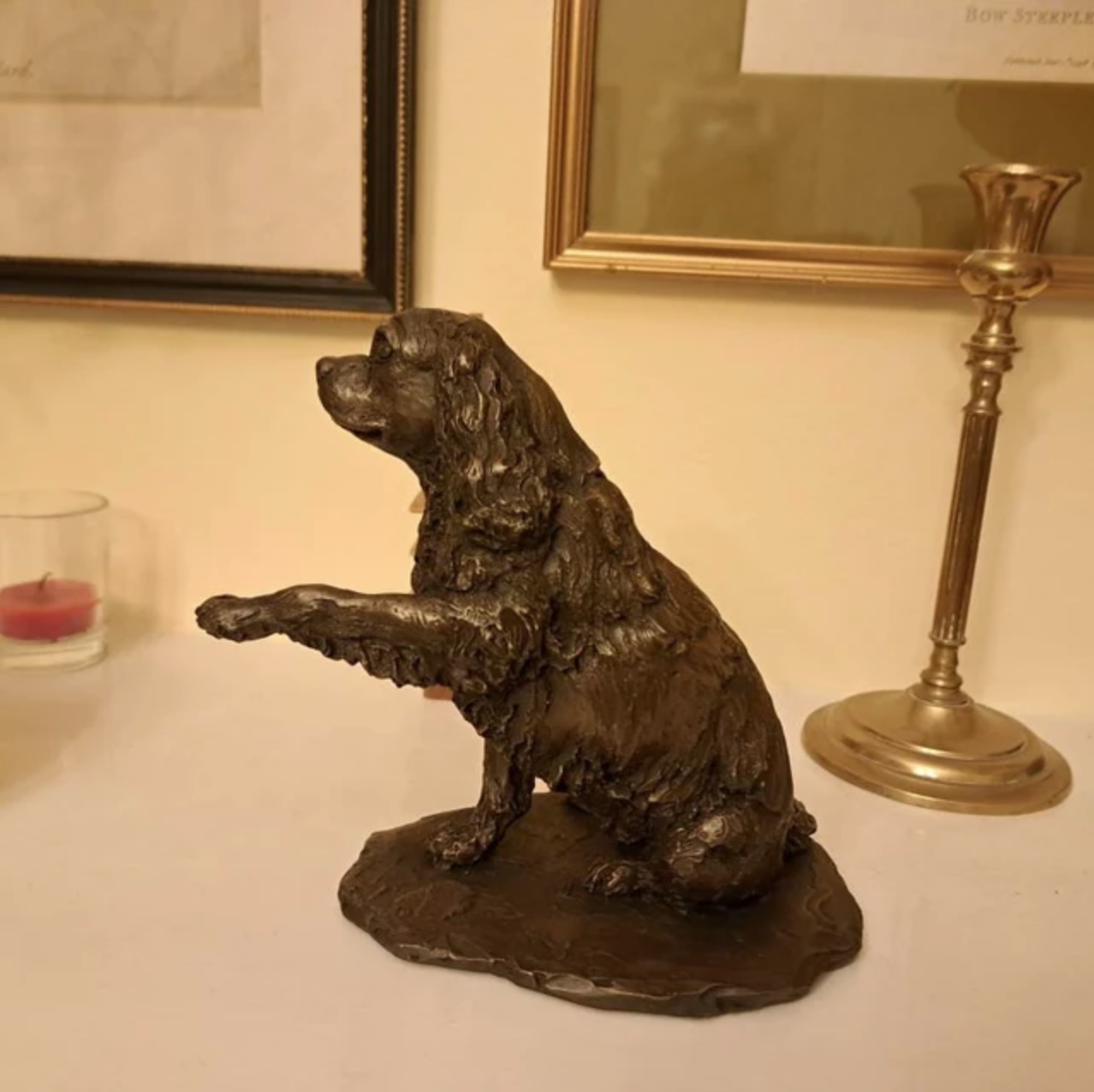 Tibetan Terrier Garden Outdoor